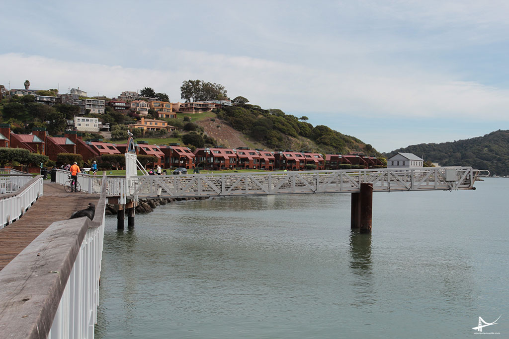 Tiburon - Cidade mais bonita da Baia de SF