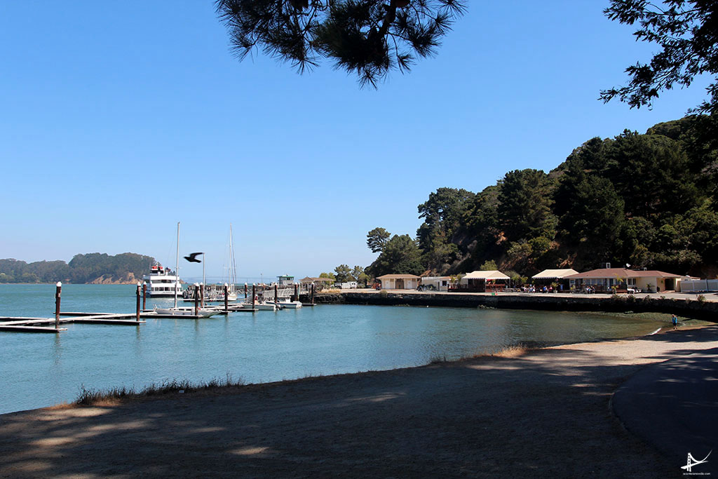 Angel Island linda