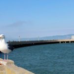 Pier Municipal de San Francisco