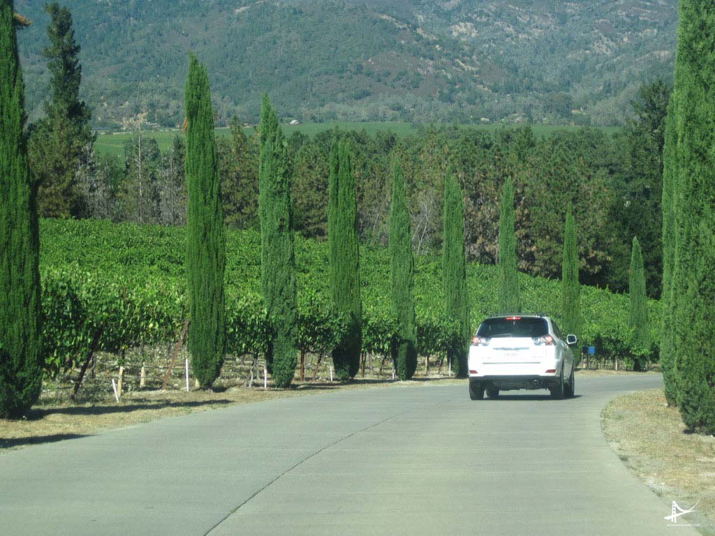 Estradas no Napa Valley