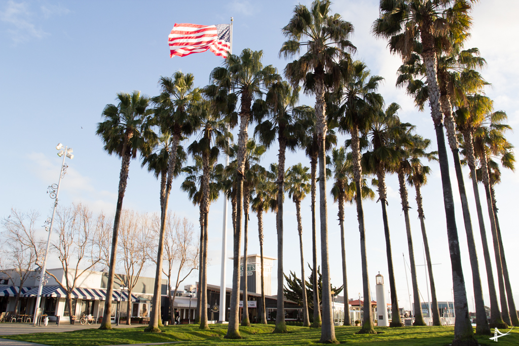 Jack London Square