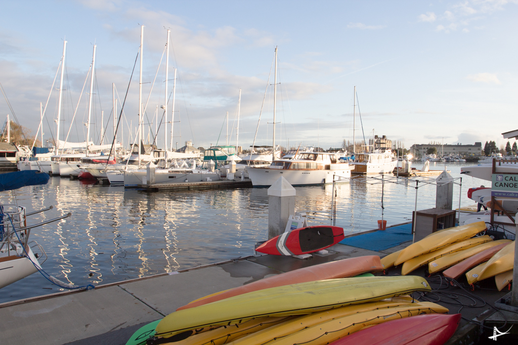 Jack London Square