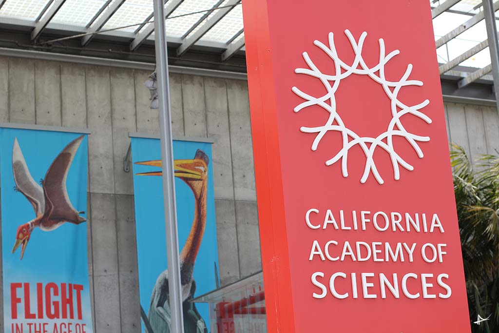 Academia de ciencias em San Francisco