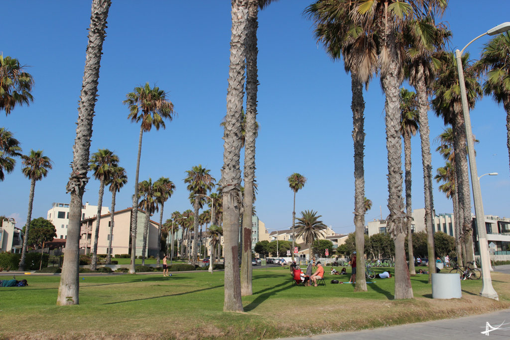 Venice Beach