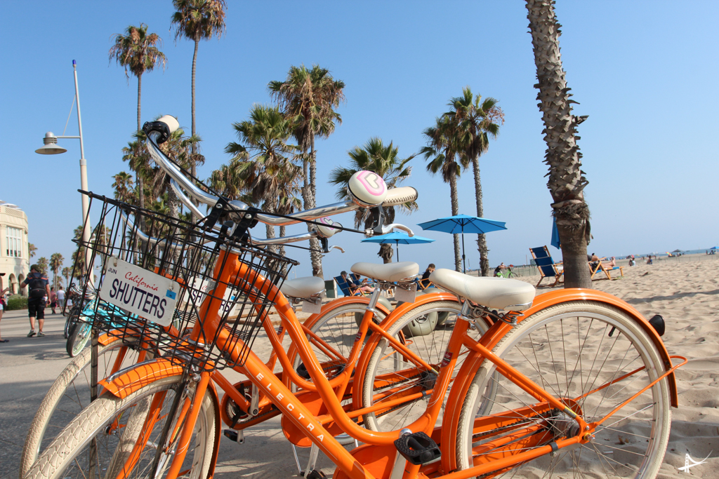 Venice Beach