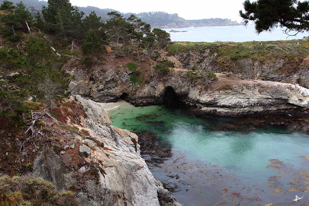 China Cove no Point Lobos