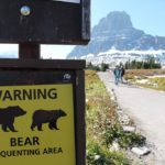 alerta de ursos no Glacier