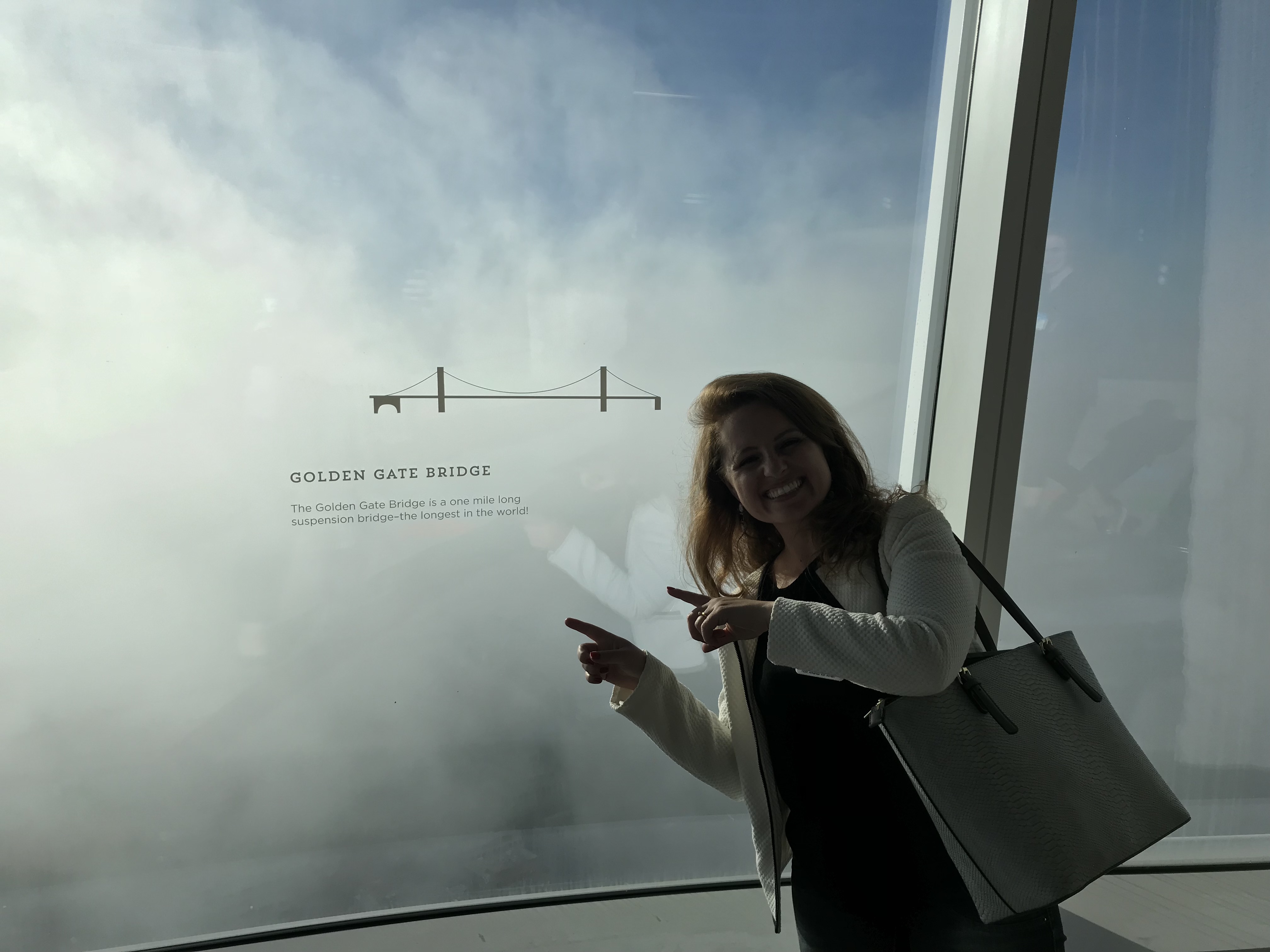 Janelas do topo da Salesforce Tower