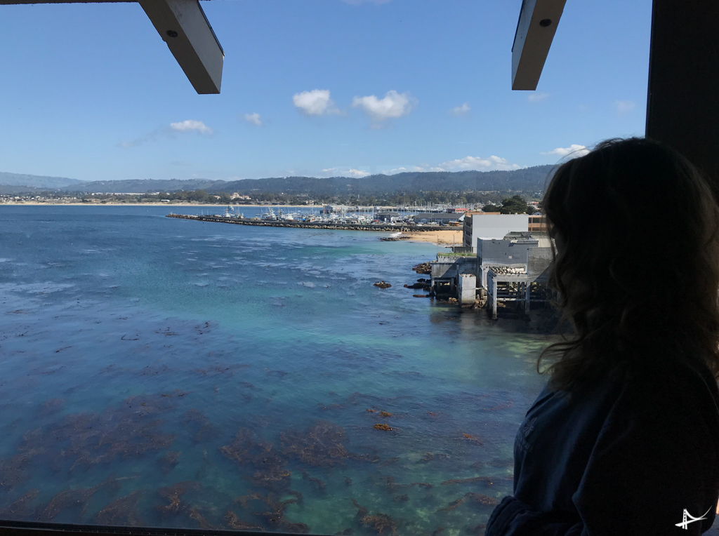 Monterey Plaza Hotel - quartos com vista pro mar