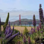 Vista da Golden Gate Bridge