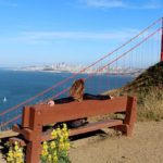 Vistas da Golden Gate Bridge