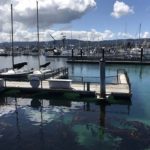 Breakwater Cove Marina em Monterey