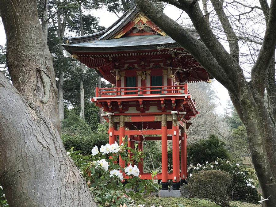 Japonese Tea Garden no Golden Gate Park