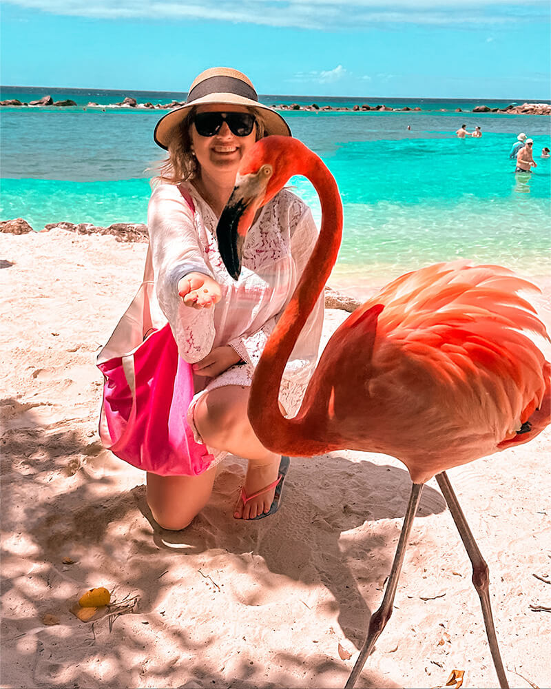Ilha dos Flamingos em Aruba