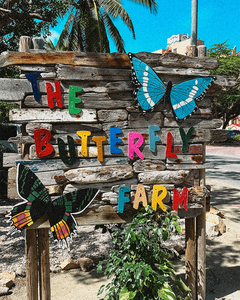 Butterfly Farm em Aruba